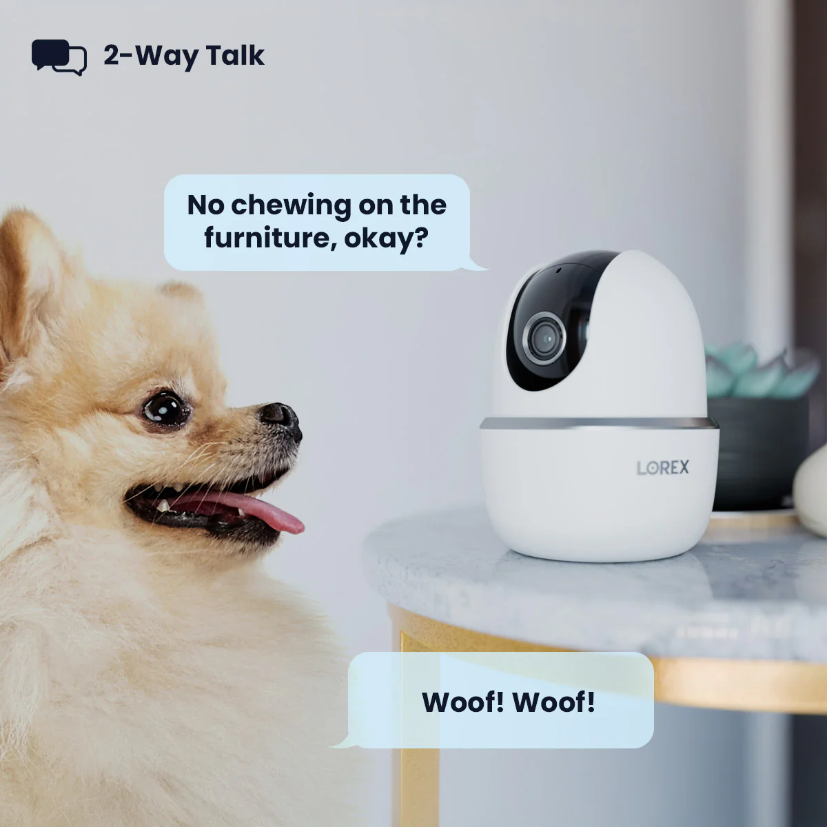 Lorex 2K Indoor Pan-Tilt Wi-Fi Pet Camera (32GB) - Image 4